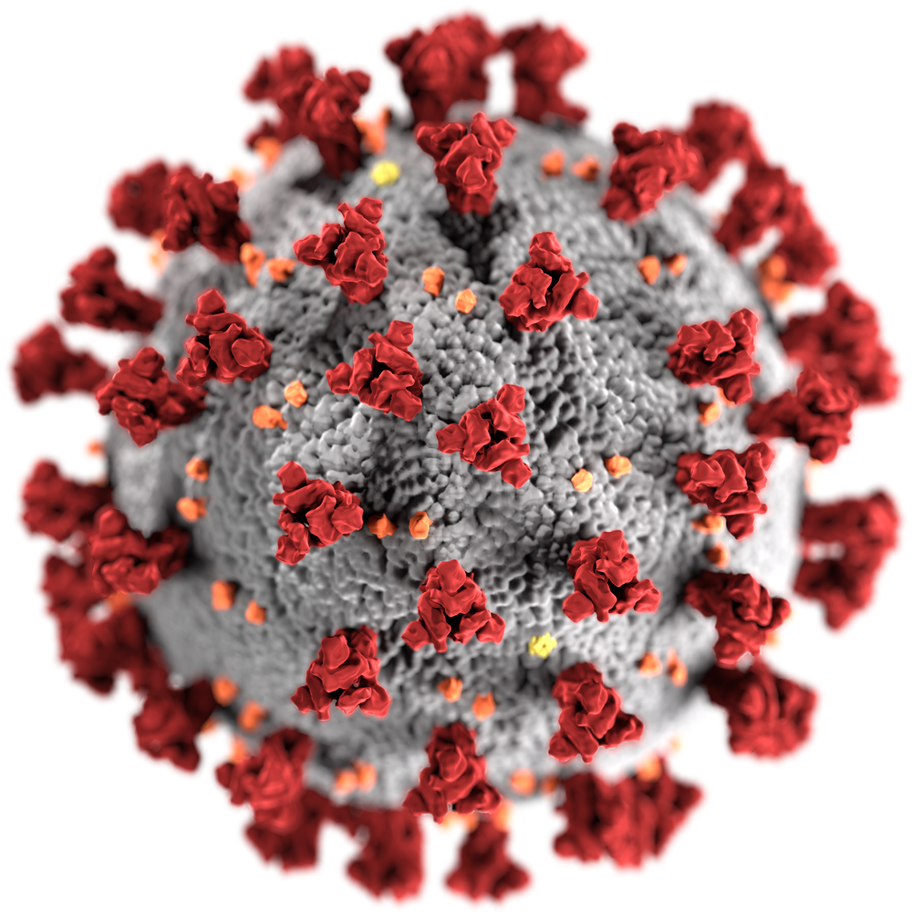 Image depicting the COVID-19 molecule